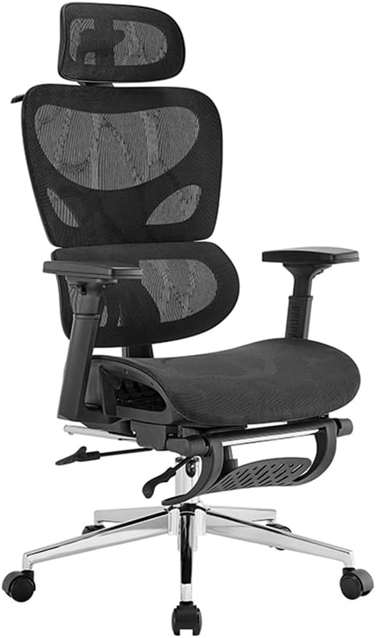 Ergolux Plus Ergonomic Mesh Office Chair with Footrest (Black)