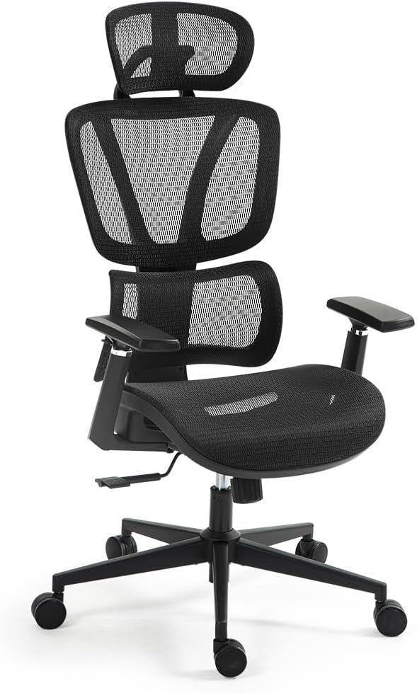 Fortia Ergonomic Office Chair with Adjustable Lumbar Support, Black